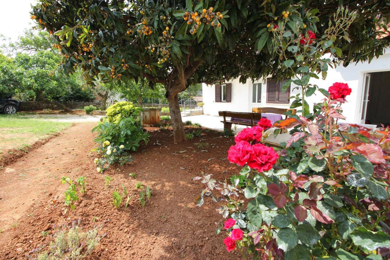 Casa Lidija Apartment *
